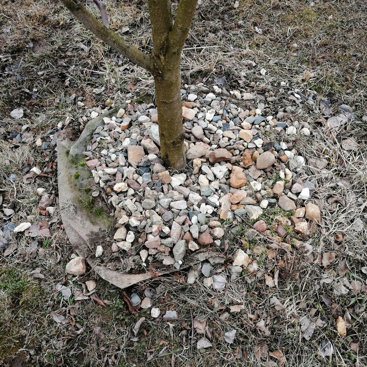 Это я уже начала поднимать геотекстиль, чтобы понимать, как действовать дальше. До этого было поаккуратнее.