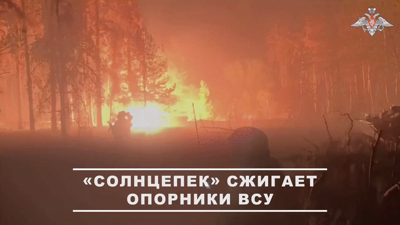 "Солнцепёки" выжигают вражеские позиции//Видео с официального ТГ-канала Минобороны