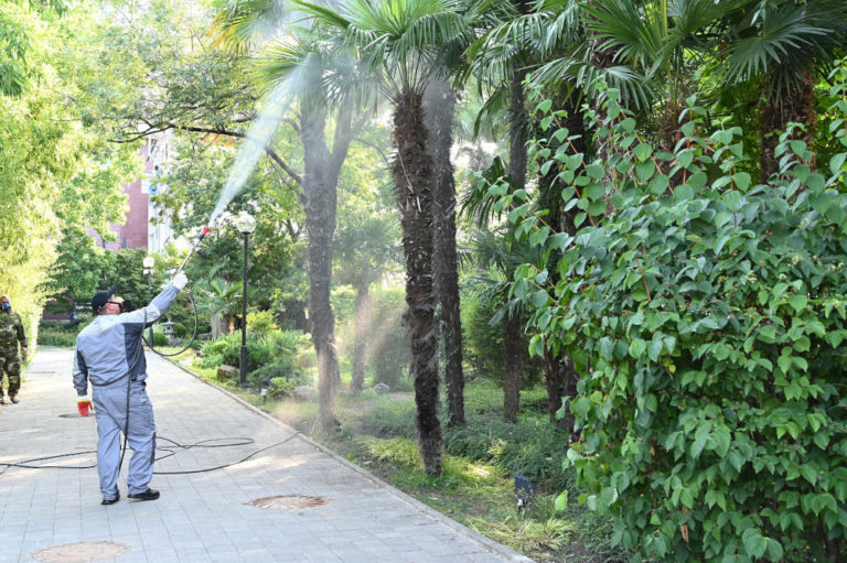    CREATOR: gd-jpeg v1.0 (using IJG JPEG v62), quality = 95 ngsochi