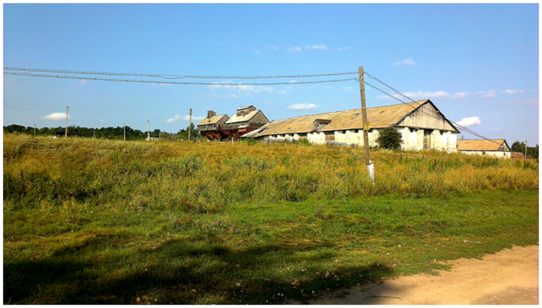 Фото сделано в с.Грачевка, сентябрь 2021 года.