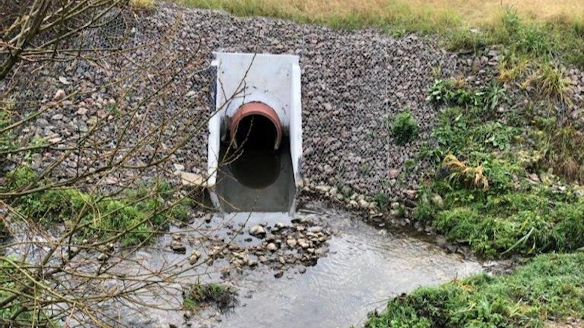    Фото: Росприроднадзор по СЗФО