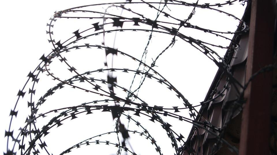    Фото: pxhere.com