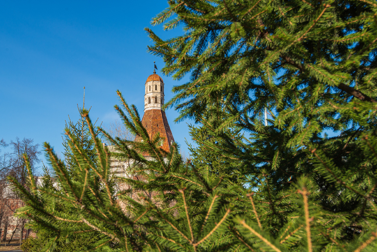 Симонов Успенский монастырь