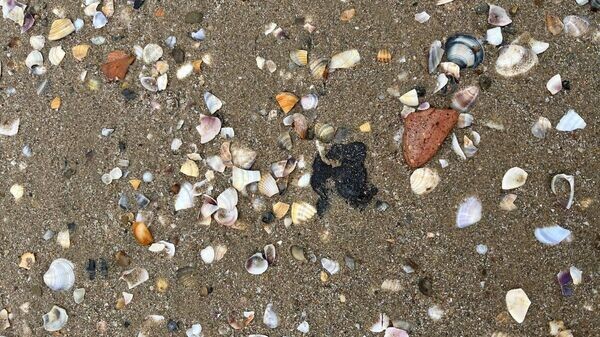    © Оперштаб Краснодарский край