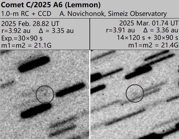 Фото кометы С/2025 А6 (Lemmon). Источник: ТГ-канал "Записки астронома".
