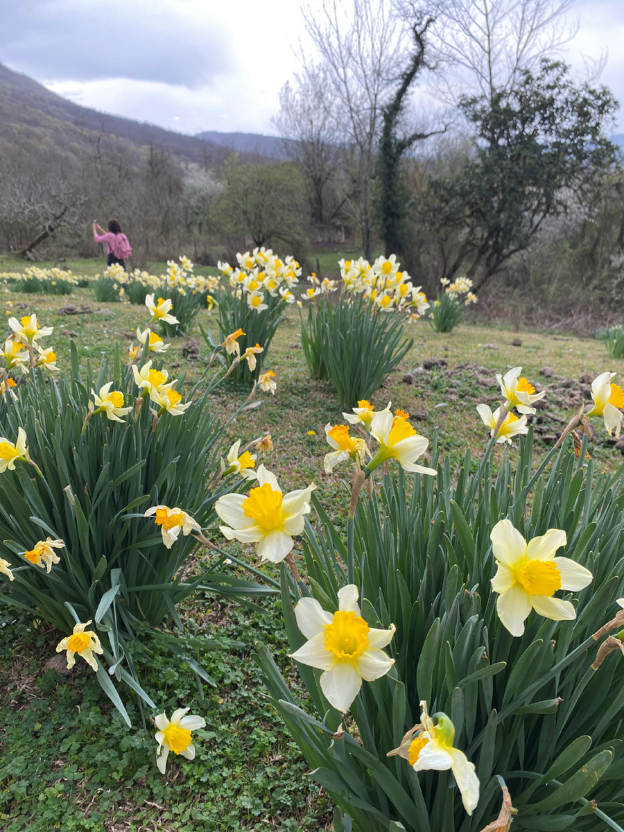 Весна, пора любви