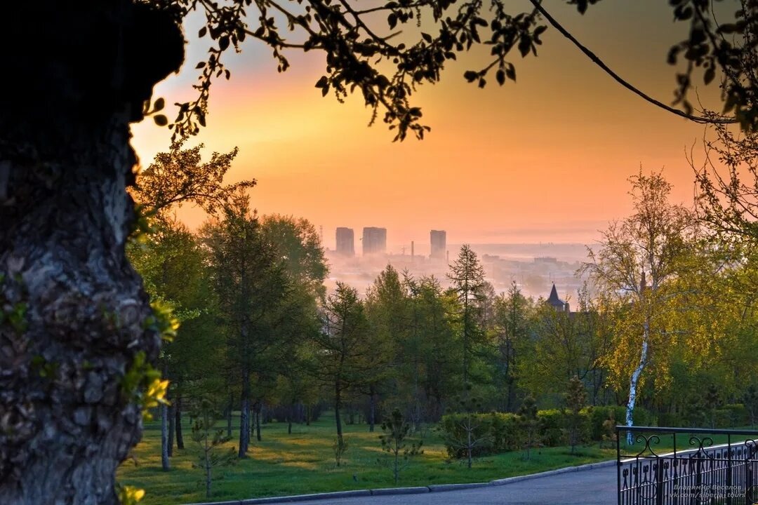 фото из интернета