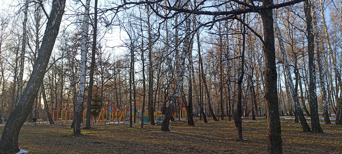 Среди берёзок детские площадки