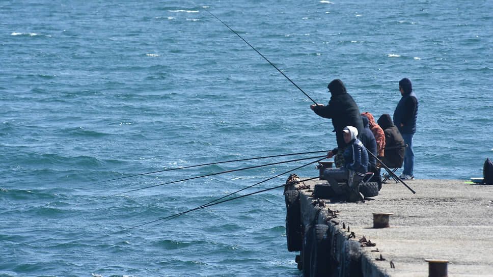 Фото: Виктор Коротаев / Коммерсантъ