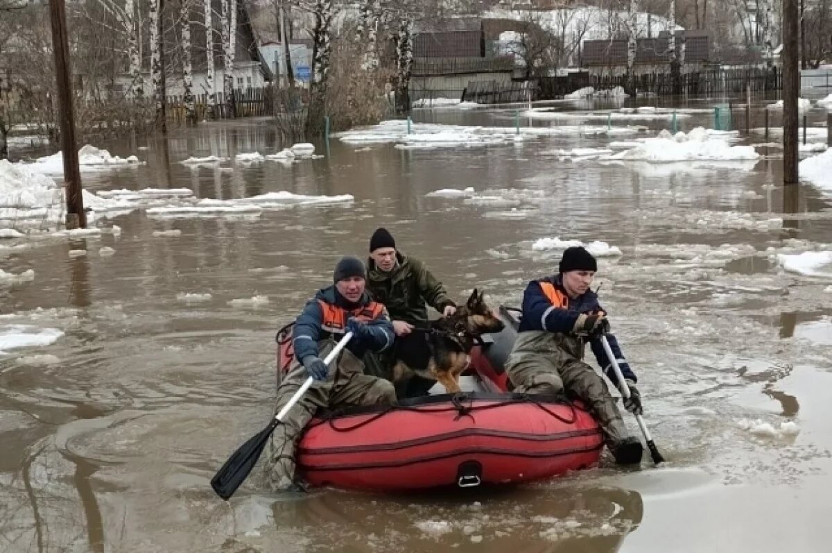    Епископ Златоустовский Пётр призвал молиться за пострадавших от паводка