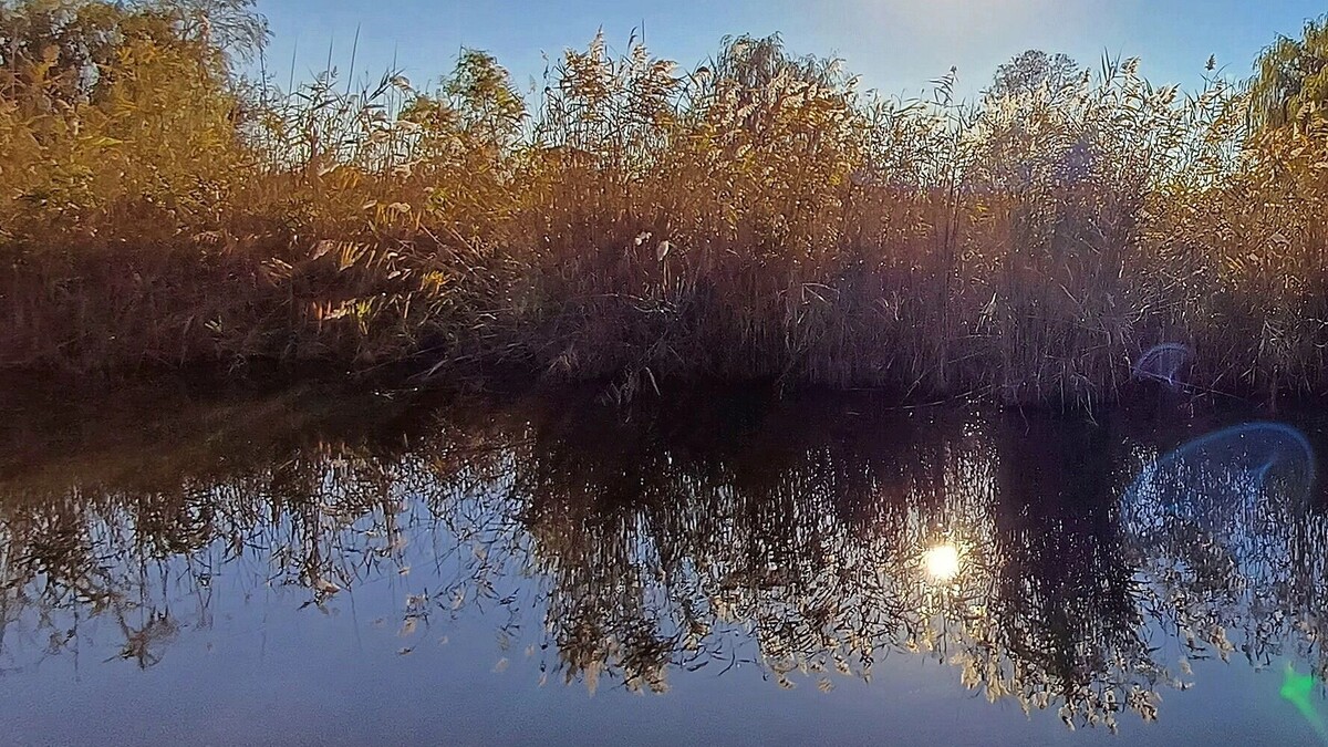     Автор: KubanPress