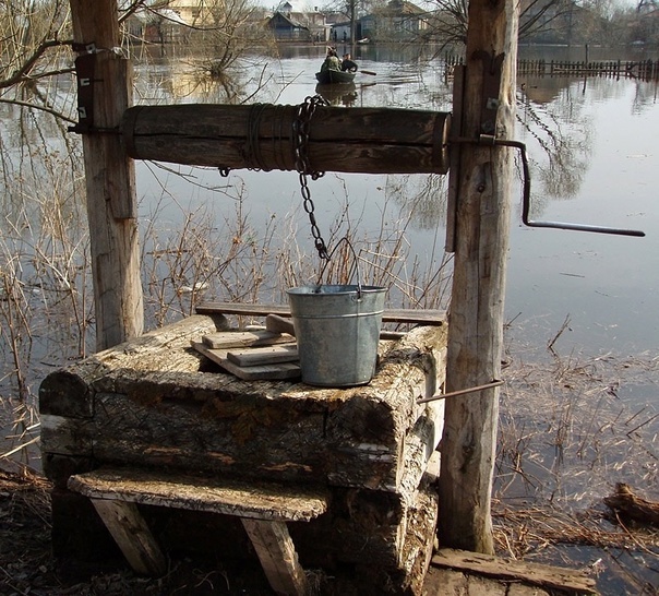 Автор и правообладатель данного изображения: Галина Север ВКОНТАКТЕ.