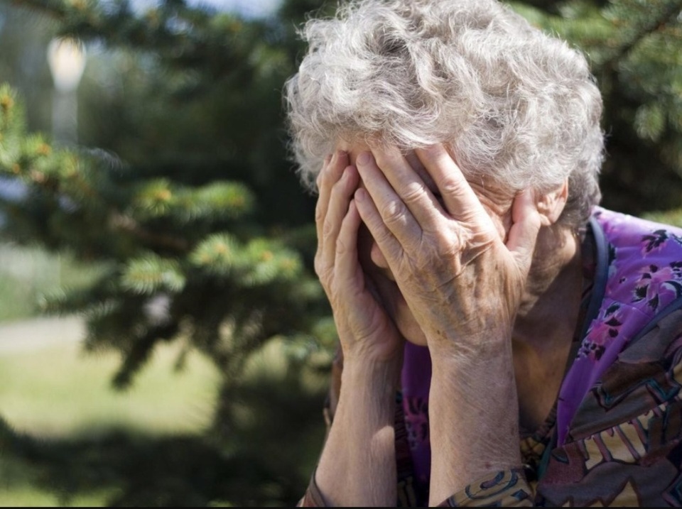 Картинка из свободного доступа