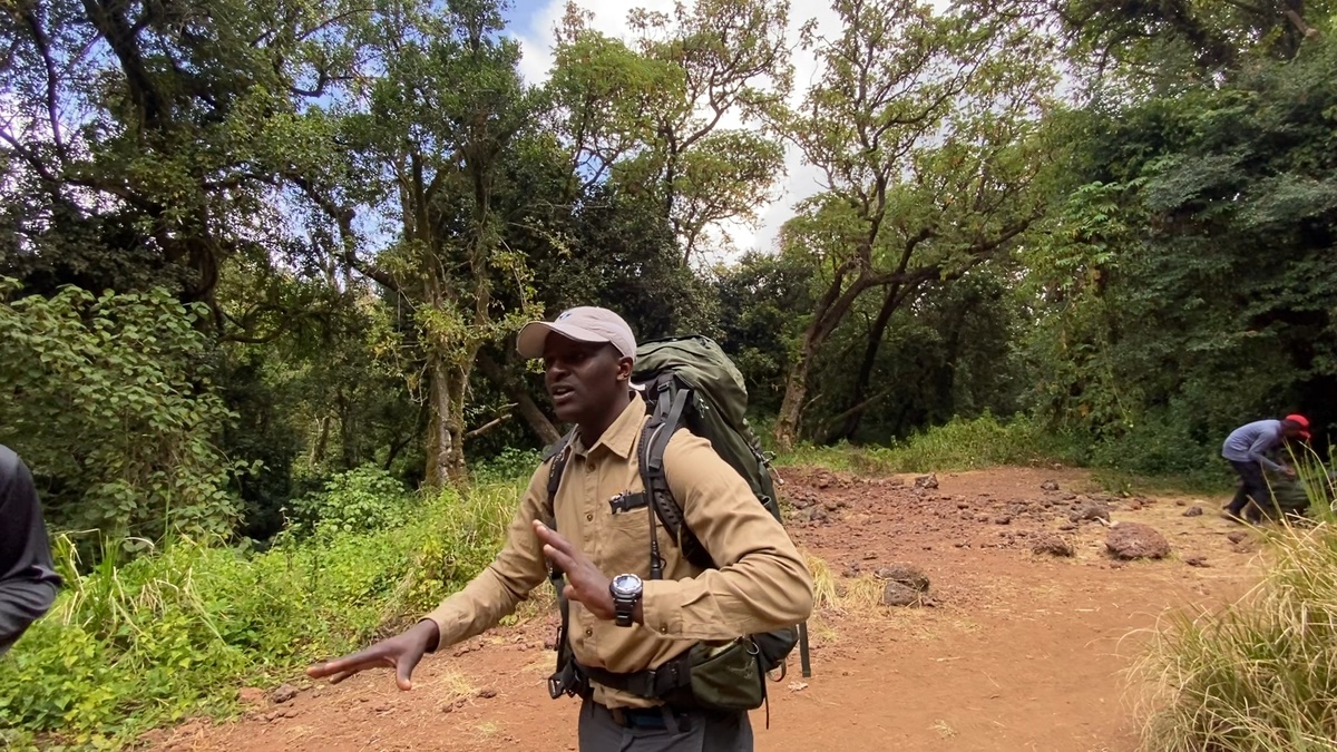 Наш гид - Имран.