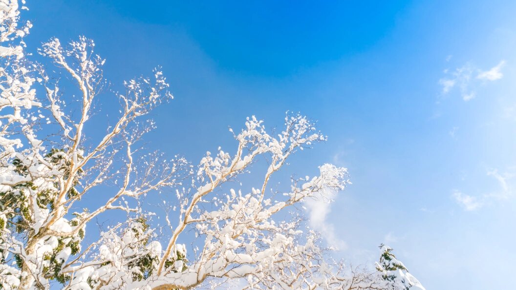    Фото: freepik.com.