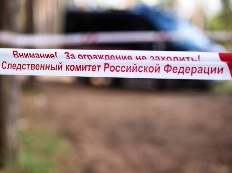     Фото: СУ СК России по ЛНР