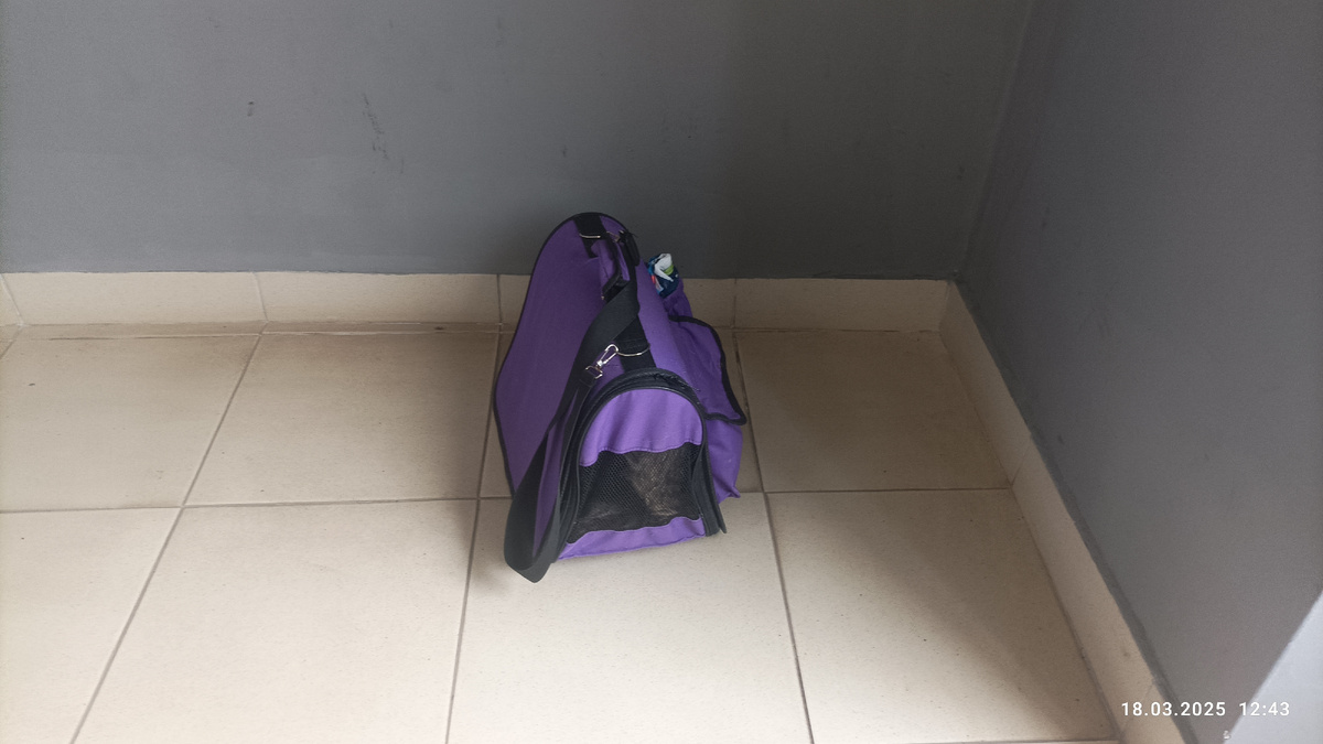 На нашем вокзале ждем электричку. 