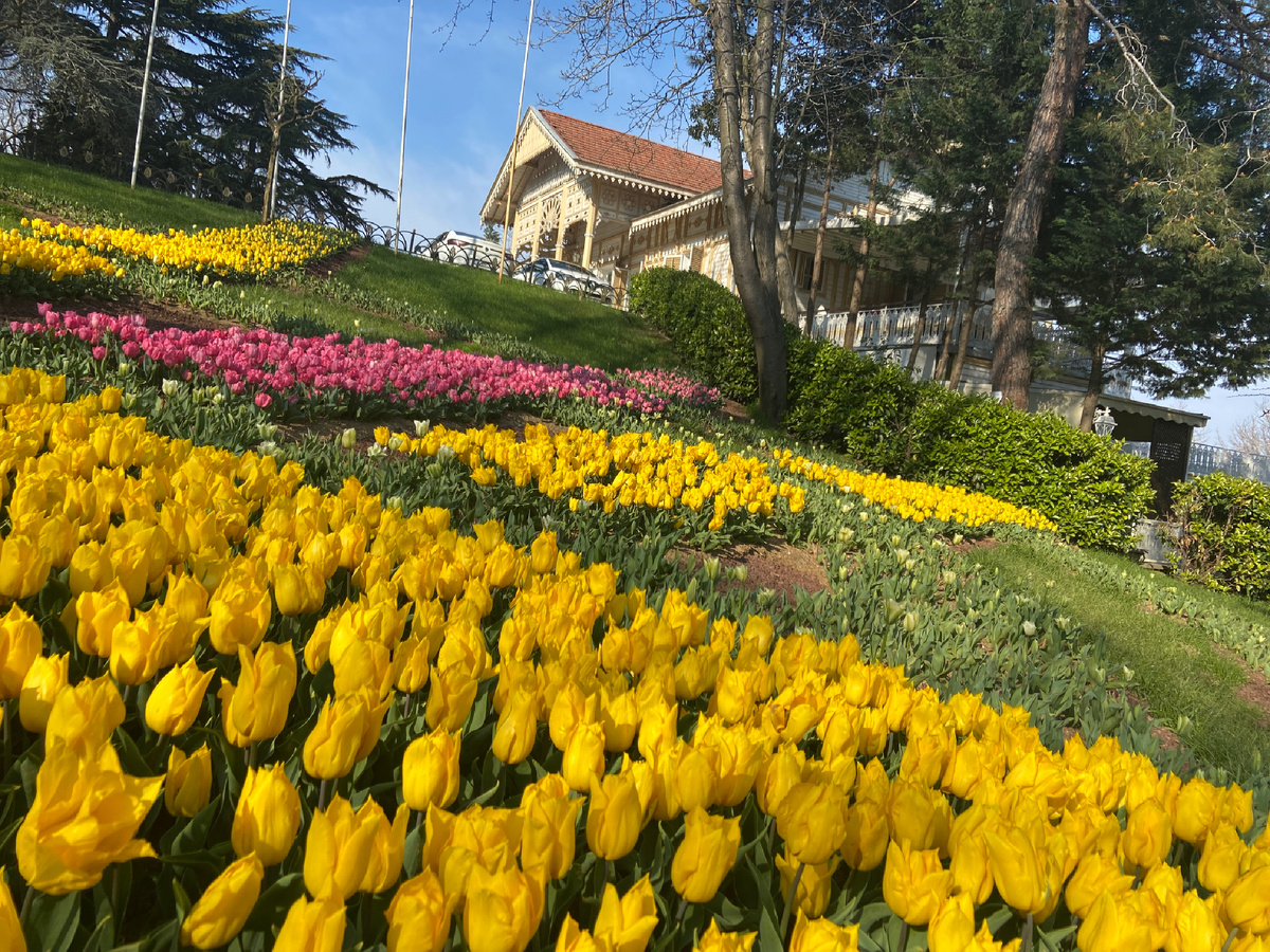 Парк Эмирган. Стамбул