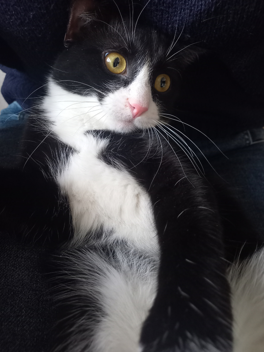 Не люблю сидеть один!