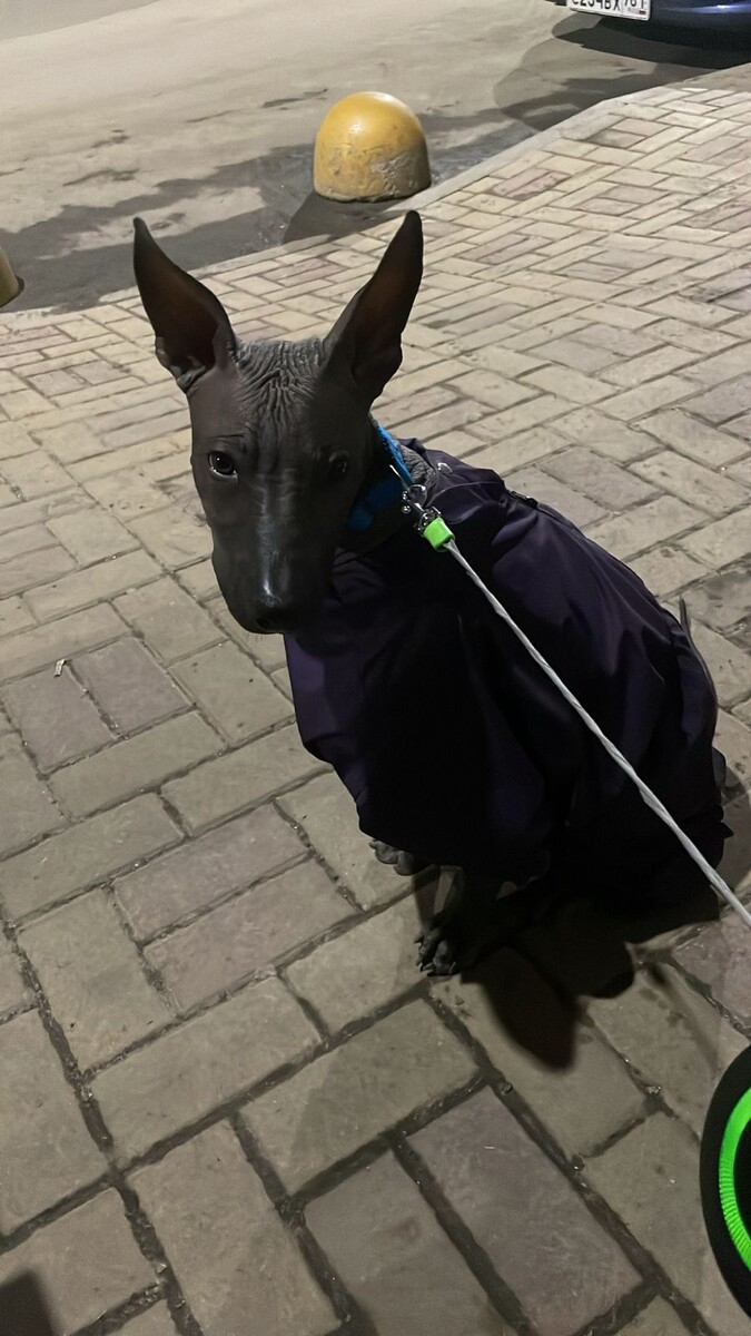 Опять похолодало, снова одевайся