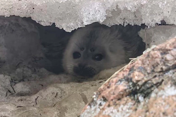 Источник: Водоканал