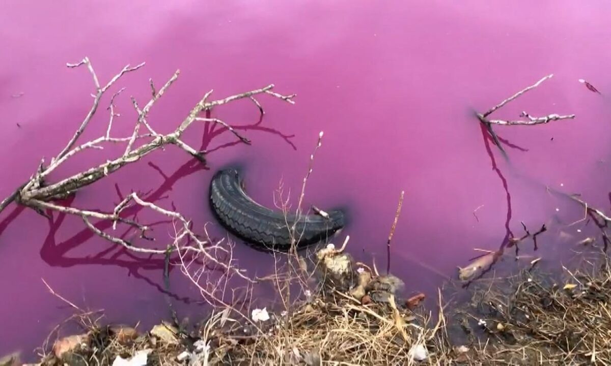    Видео канала «Кубань 24»