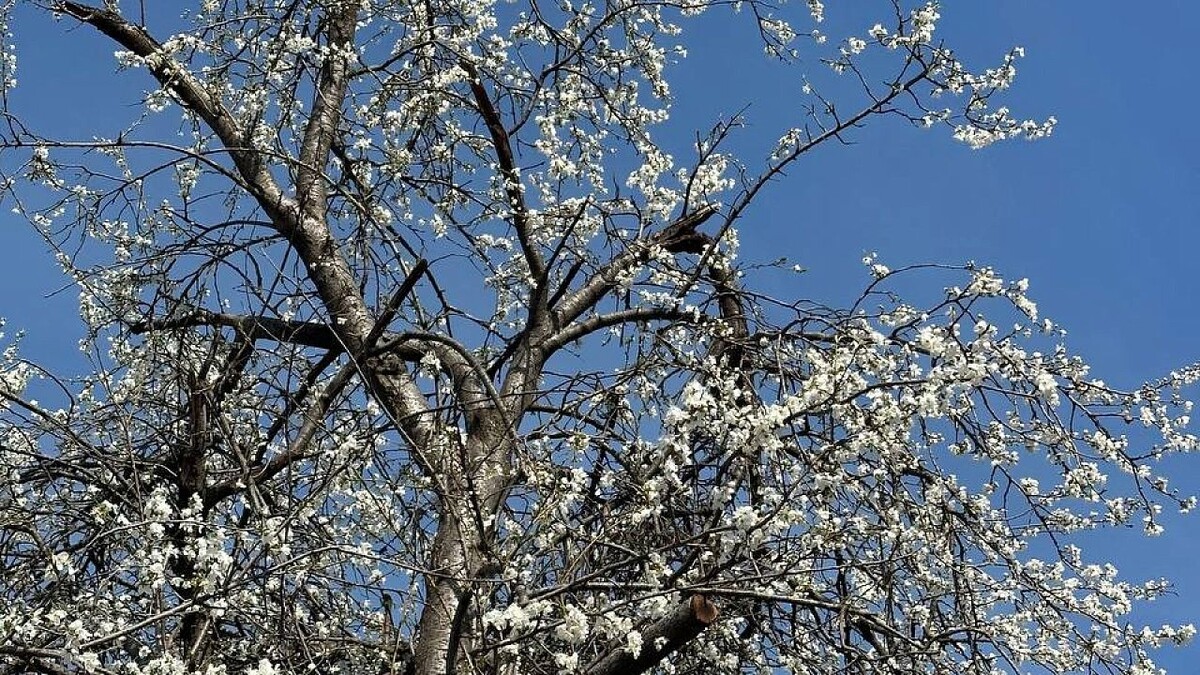    Фото: телеканал «Краснодар»