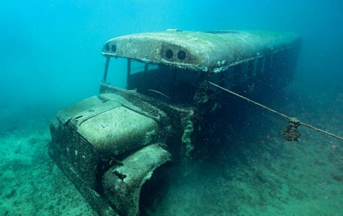 Фото из интернета