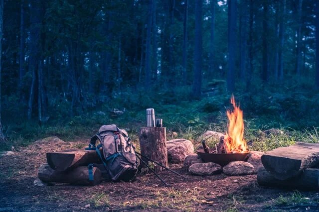    Можно ли разводить костер в лесу в 2025 году?