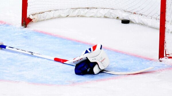    © Sputnik / Максим Богодвид