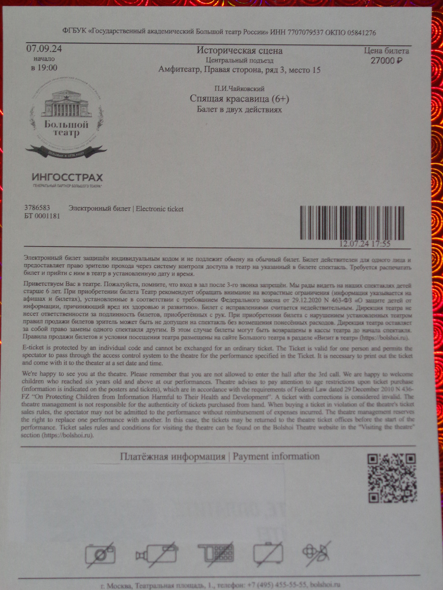 Мой билет. Фото автора