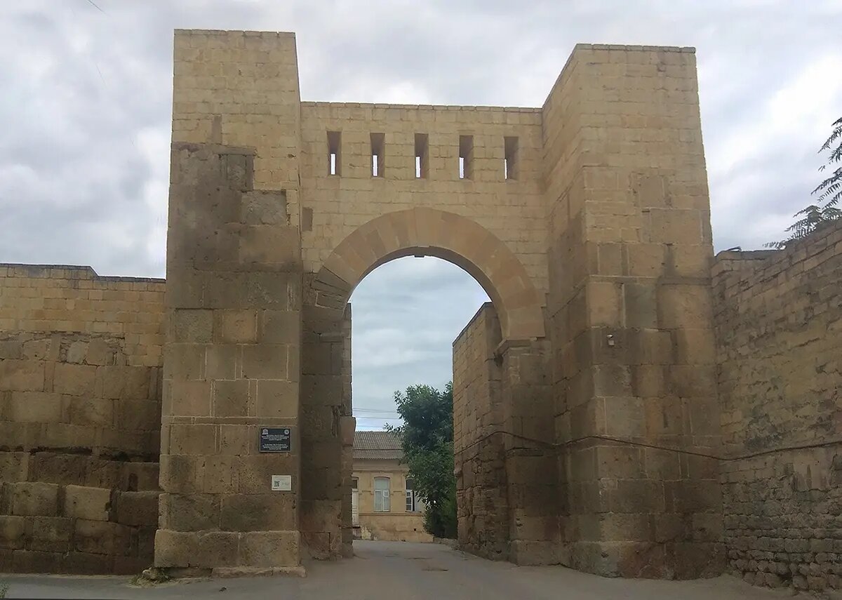 Автор фотографии А. М. Витковский, сентябрь 2022 года