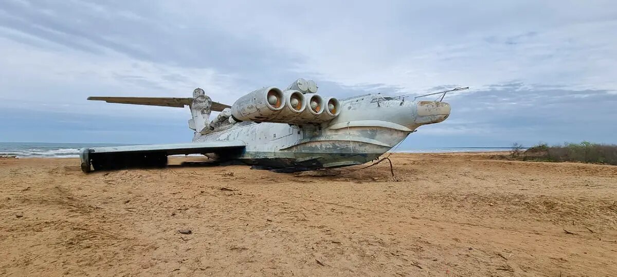 Автор фотографии И. Е. Коновалов, май 2021 года