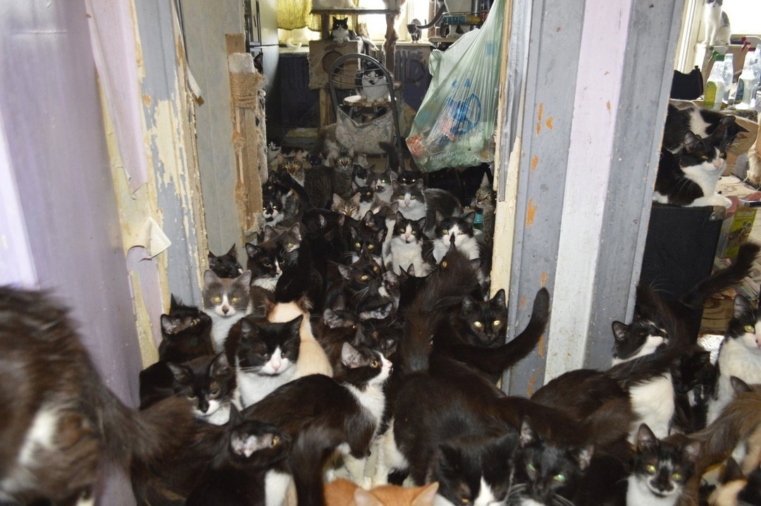 фото из интернета