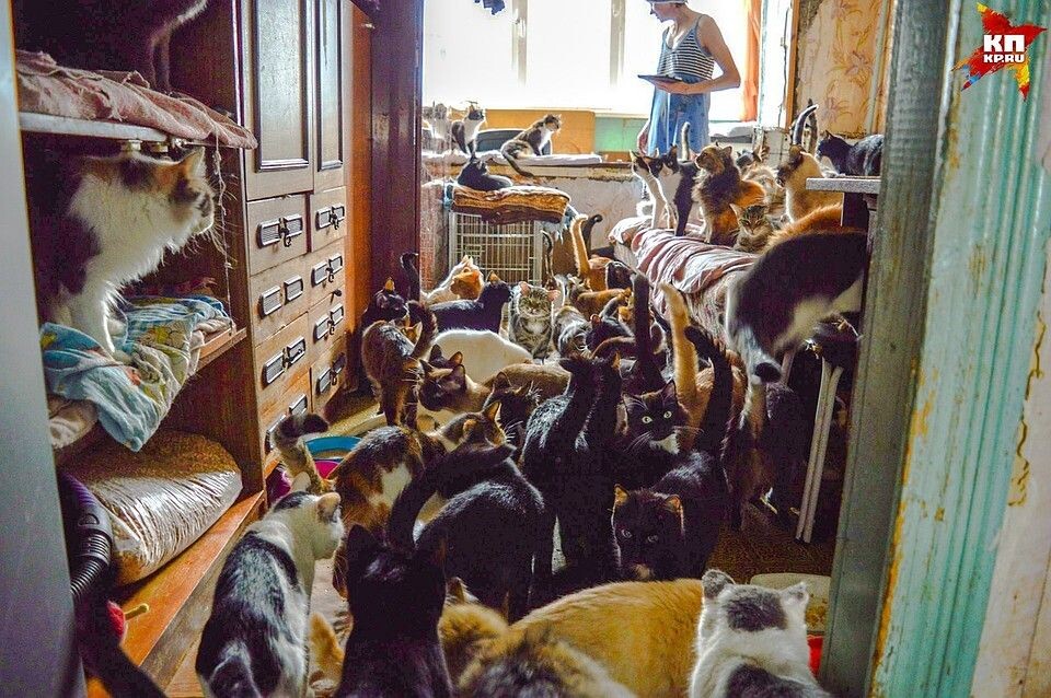 фото из интернета