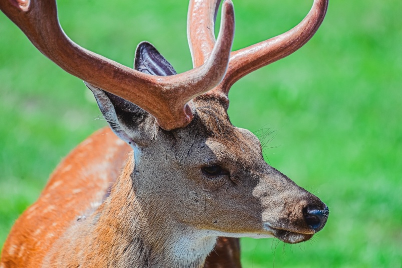    Фото: primamedia.ru Георгий
