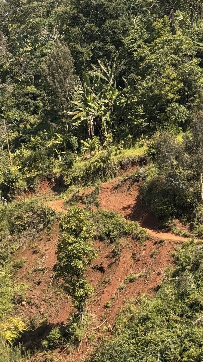 Дорога до водопада Матеруни