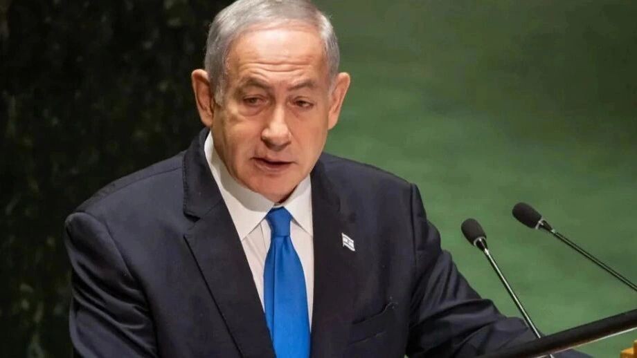    Фото: noamgalai/Shutterstock/Fotodom