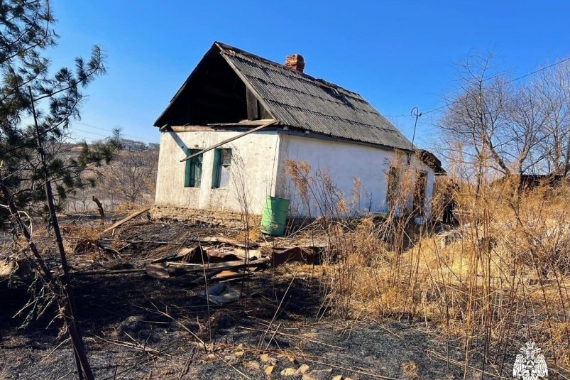    Фото: primamedia.ru Георгий