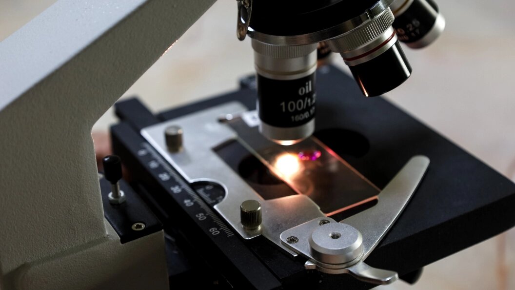    Фото: Elena Mayorova/Globallookpress