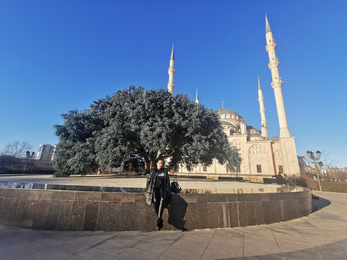 Однажды , в самом центре Грозного , я увидела огромное оливковое дерево ! Невероятно зеленое и красивое ! Но загвоздка в том, что на дворе был январь!
Как ?-спросите вы.
А дело в том, что олива та, искусственная!
Но не простая , а благословенная!  Ведь эта олива, точная копия  дерева , под которым отдыхал пророк Мухаммад , во время своего первого торгового путешествия в Сирию.  Для мусульман это дерево является особенным и священным . Настоящее дерево, возраст которого более 1500 лет,  и сейчас произрастает посреди пустыни, недалеко от столицы Иордании. Ежегодно большое число мусульман посещает это место  .
Огромное искусственное дерево , расположенное рядом с мечетью «Сердце Чечни », изготавливали в Китае. Ширина ствола -3 метра, а высота  7,6 метров,  а ширина кроны около 20 метров.
Только представьте, сколько времени ушло на создание этого шедевра!
Так же в Чечню доставили отросток настоящей благословенной оливы и в скором времени  его планируют высадить .