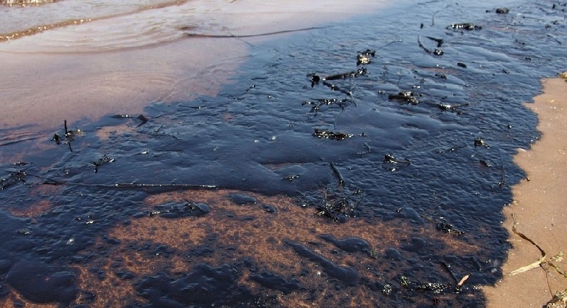 Фото мазутные загрязнения.