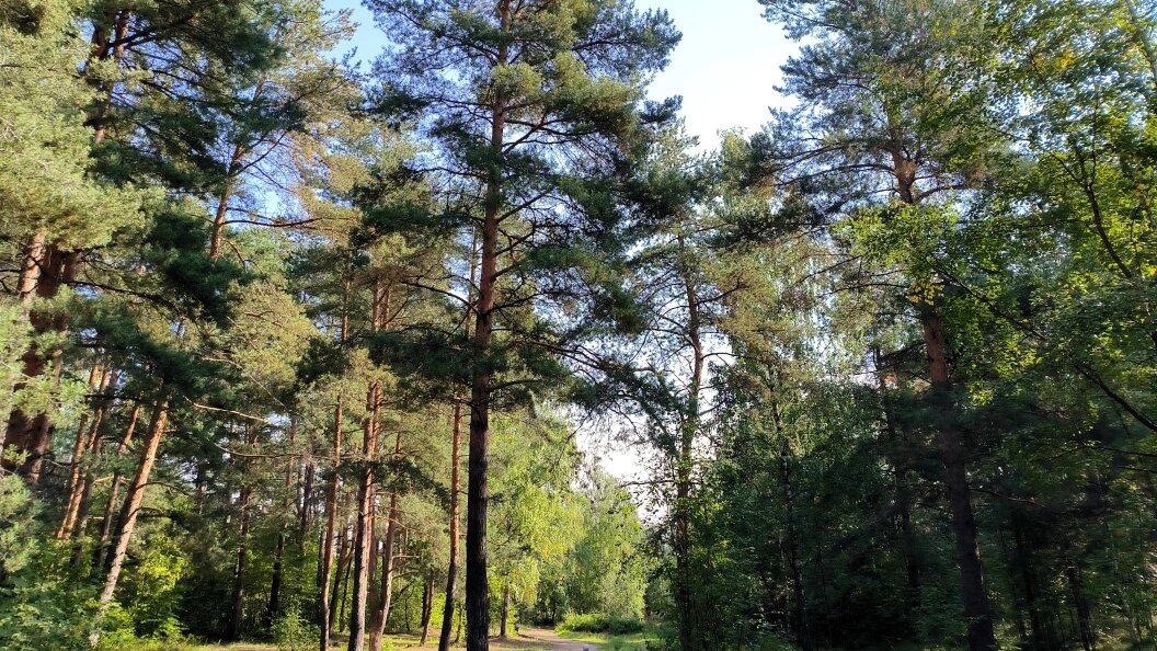    Maksim Konstantinov/Globallookpress