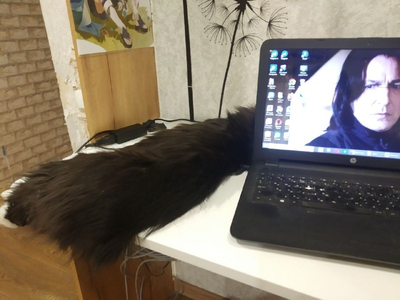 Слева от ноута, но я все равно пытаюсь работать. ) 