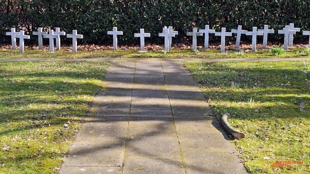    Фото:  АиФ/ Георгий Зотов