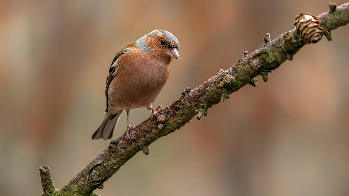    Фото: shutterstock