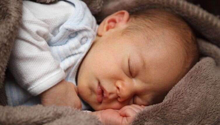     Фото: по лицензии CC0 Pxhere.com