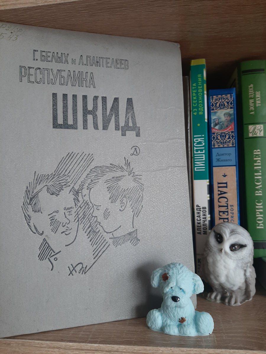 Моя книжная полка