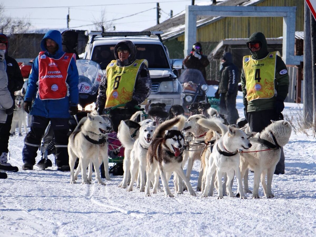 Гонка «Берингия-2025» пришла в село Ковран / kamgov.ru