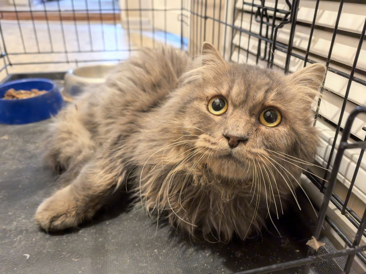 Фото из архива автора